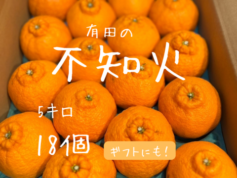 不知火　5キロ18個ギフトにも！