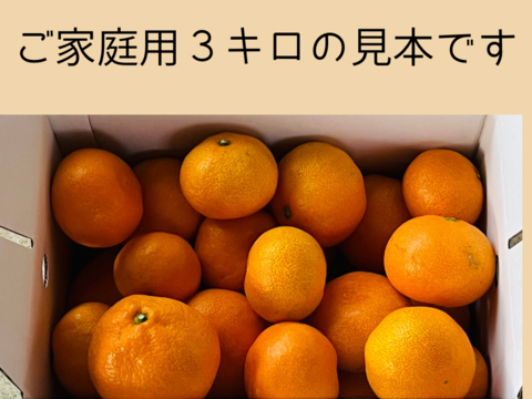 【ご家庭用】濃厚 真穴（まあな）産 早生みかん サイズ混合 2S～Lサイズ 3kg 数量限定（サイズ指定不可）