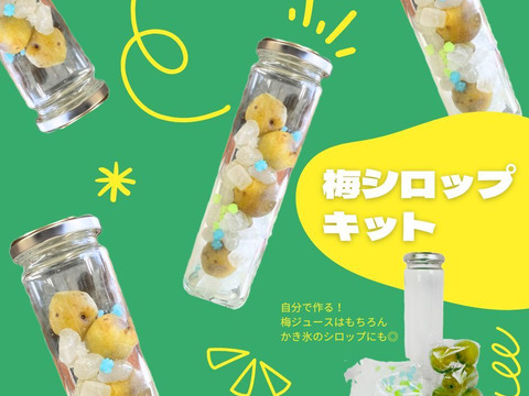【梅シロップキット】梅ジュースや梅シロップが簡単に作れる！見た目もかわいくプレゼントにも◎　岐阜県郡上市産100％