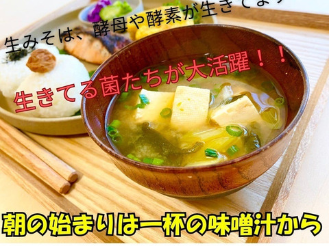 （捌）【美味しい!生味噌4個セット】酵母が生きてる♪新潟県高田農園産の『自家製の糀』で作った『なま味噌』(4kg)