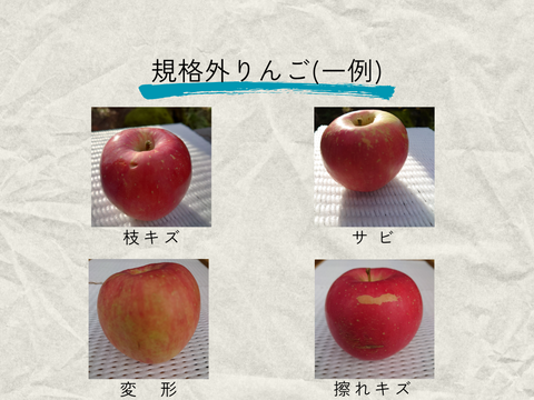 【規格外】早生ふじ『やたか』6㎏　秋田県産