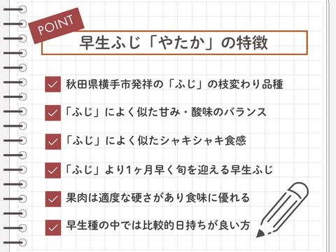 シャキシャキ食感！秋田県産  早生ふじ「やたか」5㎏
