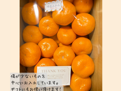 有田みかん⭐︎完熟中生みかん 3キロ2Sサイズ ギフトにも！ 温州みかん