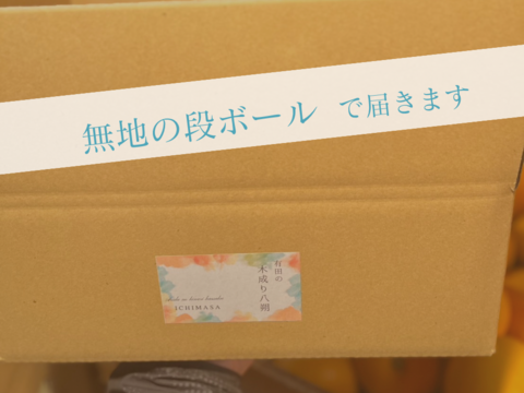【木成り八朔】Sサイズ　箱込み3キロ　家庭用　※皮むき器つき　さつき八朔　はっさく