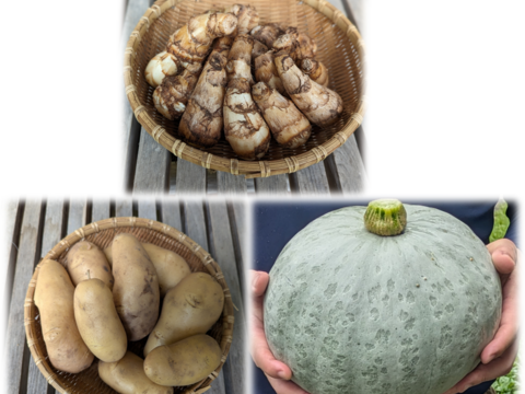 秋のホクホク野菜3点セット（里芋1.5kg、かぼちゃ3kg、じゃがいも4kg）【農薬化学肥料不使用】