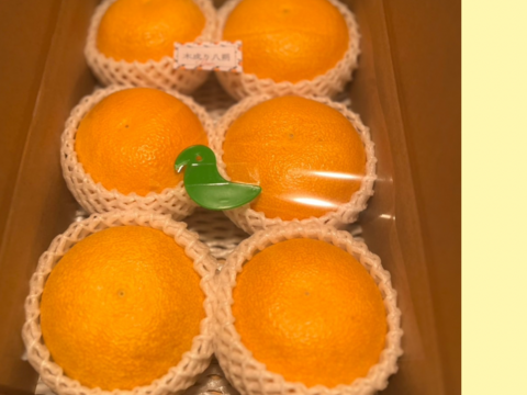【木成り八朔】2キロ家庭用　※皮むき器つき　さつき八朔　はっさく