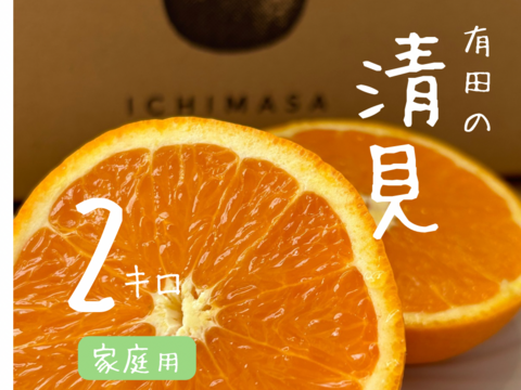 【清見】2キロ　家庭用