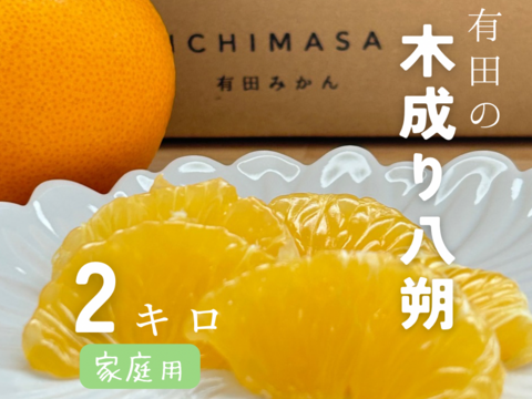 【木成り八朔】2キロ家庭用　※皮むき器つき　さつき八朔　はっさく
