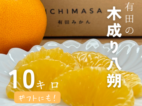 【木成り八朔】10キロギフトにも！　※皮むき器つき　さつき八朔　はっさく
