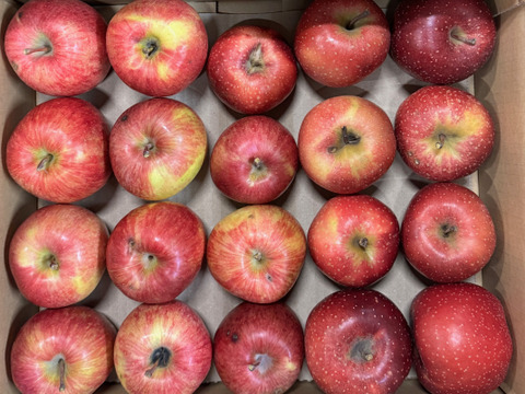 【在庫限り】千雪・まさゆめハーフセット訳ありバラ詰め　約4.5Kg　青森県産