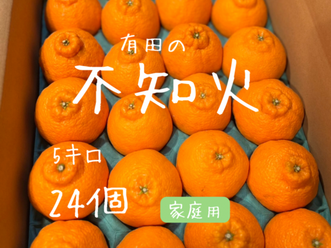 不知火　5キロ24個家庭用