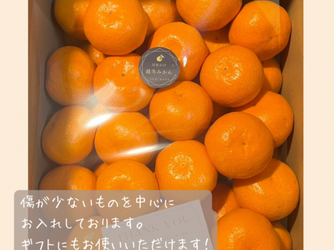 超完熟宮川早生⭐︎屋根かけ越冬みかん　3キロLサイズギフトにも！　有田みかん　早生みかん