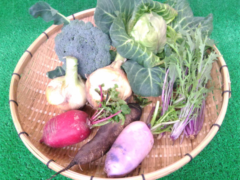 免疫力アップ!売り切れ御免!こだわりの野菜セット5品