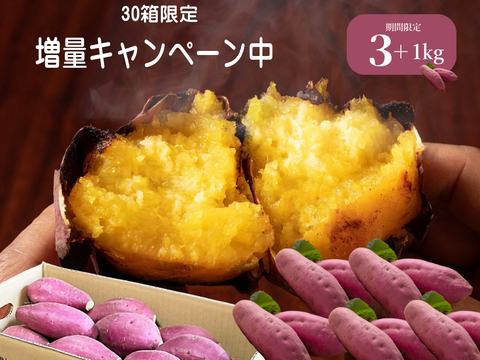 １㎏増量キャンペーン／限定３０箱／３月４日～３月３１日まで／髙鍋農園ブランド”おいしさの極み”紅琥珀スイート👩‍🍳上品な甘さが最高に美味しい😋３㎏プラス１㎏【阿蘇・西原産】
