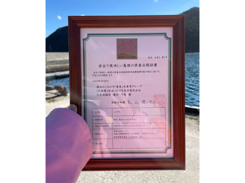 【✨12/31まで予約特価🦪】生食可！いわがき春香Lサイズ（300g～400g）１０個入