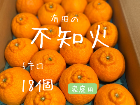 不知火　5キロ18個　家庭用
