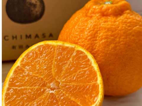 不知火　5キロ24個ギフトにも！