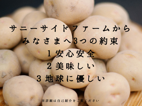 甘くてホクホク！香川県産ジャガイモ4kg（キタアカリ）