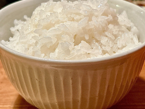 令和6年産 伊賀米キヌヒカリ 玄米20kg(10kgｘ2袋) 選べる精米方法 送料無料