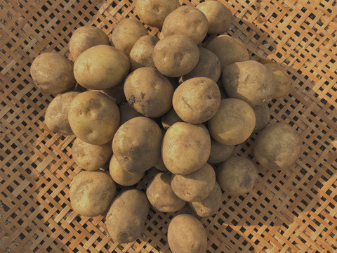【まるごとパクっと】皮ごと食べれる小ぶりの新じゃがいも(男爵)3kg