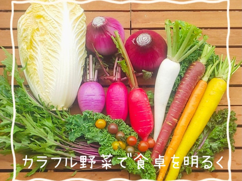 カラフル野菜農家のカラダ喜ぶ
『お試しS秋冬のカラフル野菜セット6品目』