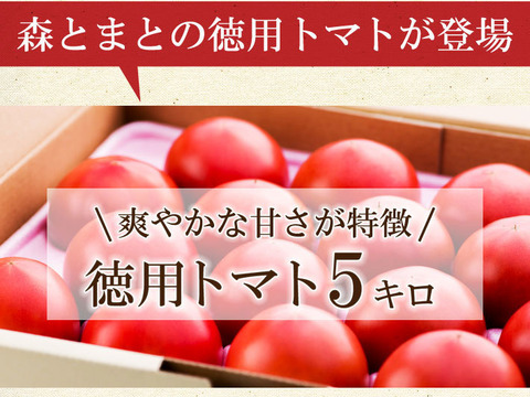 さわやかな甘味が特徴の徳用トマト5kg　宮崎県産