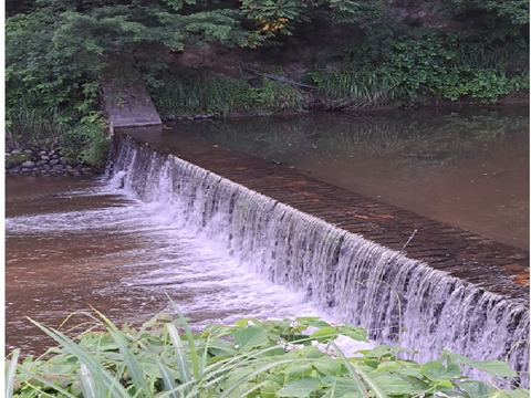 【令和6年産－新潟・とちお産コシヒカリ】豊かな山の湧水で育てたお米（精米2kgポリ袋／農家直送・送料相当分値引き中）／箱込み総重量／お試し米