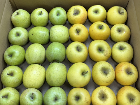 【極小玉・バラ詰め】シナノゴールド＆王林💛🍏家庭用約5Kg💛🍏ハーフセット　毎日りんご　コスパ抜群　青森県産　数量限定