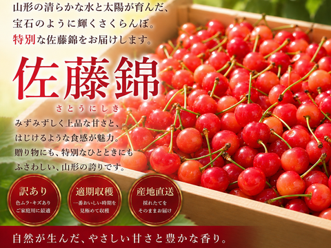 食べチョクオープン特別価格！！！山形県産　さくらんぼ　佐藤錦　訳あり　1kg