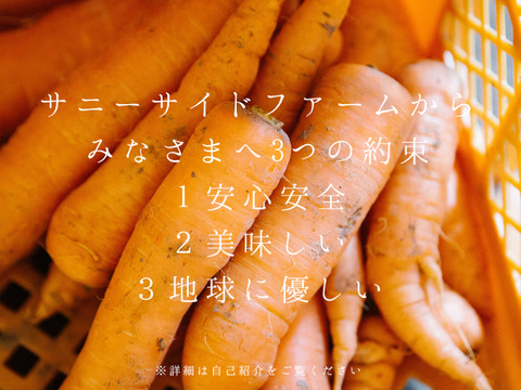 体が温まる料理に最適！冬野菜のセット（ニンジン、ジャガイモ）1.8kg