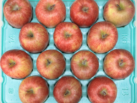 まさゆめ🍎家庭用約4.5Kg　在庫限り　ふじの子供　希少品種　新品種　果汁たっぷり　流行の先取り　青森県産　数量限定