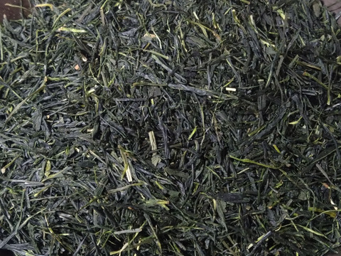 煎茶（2025） おくみどり 新茶 加茂自然農園のお茶　農薬・肥料不使用　緑茶