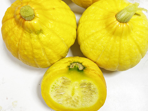 【訳あり】生で食べるかぼちゃ！コリンキー（約1kg、1～2個）農薬・化学肥料不使用