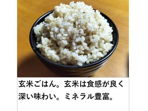 玄米 約5kg 秋田のあきたこまち 【令和7年産】【冬ギフト】