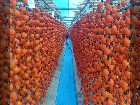 送料込みで2980円！3月発送でお得に【市田柿】大容量バラ1㎏！遠赤加工でふっくらしっとり☆ネコポスの簡易包装で大変お得になっております！！