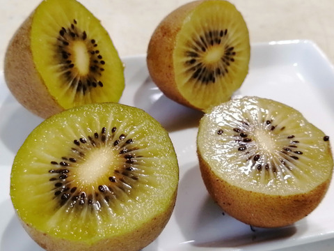 農薬不使用！【追熟済】東京ゴールドキウイ2kg