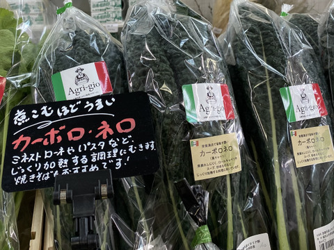 煮込み料理に【京都産】黒キャベツ　カーボロネロ　500g