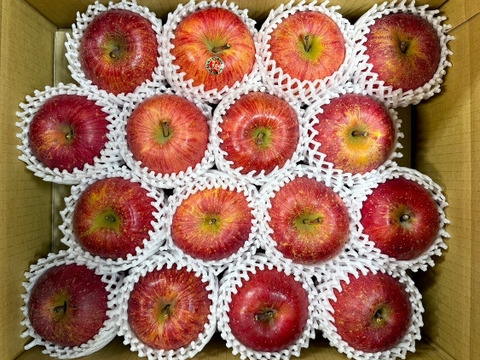 【岩手・紫波長岡果樹園】🍎いわて産特別栽培「サンふじ」5kg（家庭用16玉）