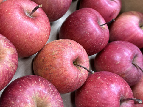 【極小玉・バラ詰め】サンふじ🍎家庭用約2.7Kg🍎毎日りんご　コスパ抜群　青森県産　数量限定