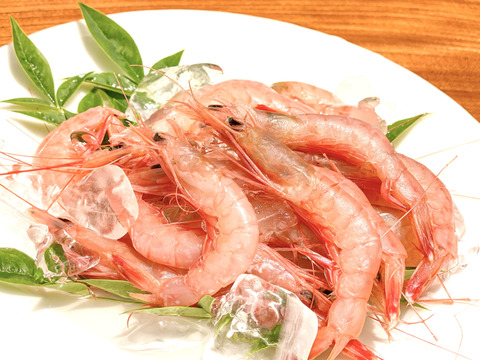 生食OK！加熱で殻ごと楽しむ トロえび中小500g