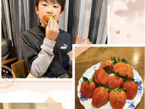 数量限定☆特大‼️新鮮朝採りいちご 5db5aa817f34006fee21119d071678