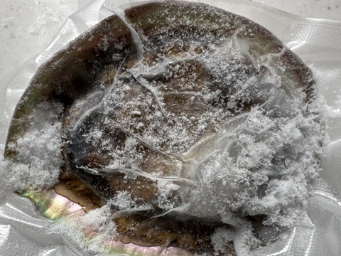 素潜り漁師直送！伊豆の美味しい　アワビ　鮑　あわび -本日の１点物　アワビ　鮑　-60度急速冷凍　５枚で １２９８g（傷物、訳あり品）品番エ