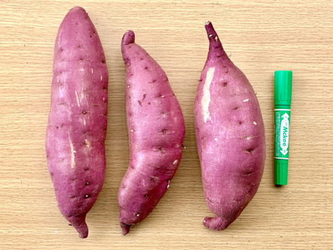 【訳あり】どすこいサイズ「栗かぐや」 5キロ箱