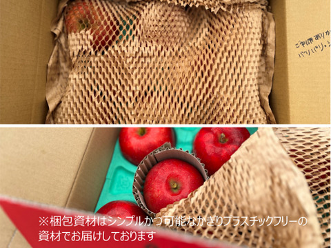 【蔵出し奥州ロマン】【超極小玉】（2kg・9～10個入り）パリパリ・ジューシーお得な家庭用
