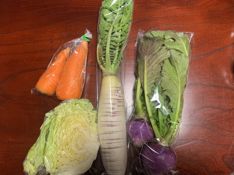 【自然栽培】4品目お試し旬のお野菜セット