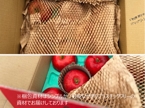 【訳あり】【旬りんご2種詰合せセット】（2kg・6～9個入り）パリパリ・ジューシー超お得な家庭用