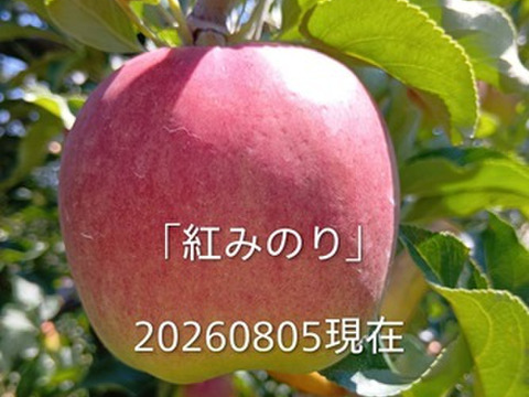 【先行予約】８月収穫品種！「紅みのり」約3kg　硬いりんご甘味酸味のバランスが良いですよ。夏収穫品種の中で日持ちするりんごです。