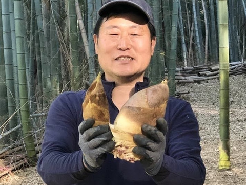 自然栽培たけのこ2kg：山口県産の孟宗竹｜食べチョク｜産地直送