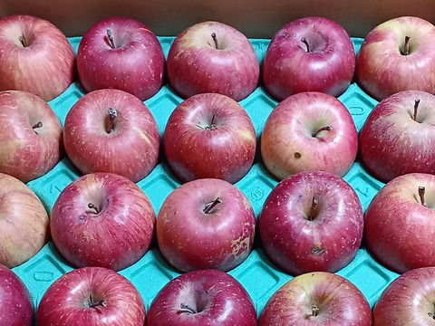 規格外サンふじ5キロ　16個から20個入