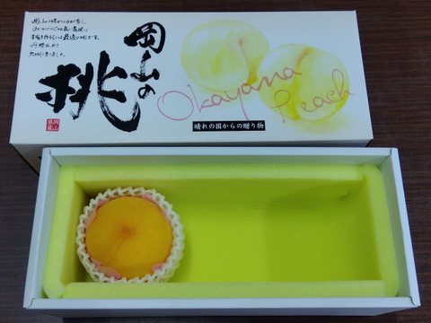 食欲をそそる鮮やかな黄金色と強い甘み！【黄金桃】【敬老の日ギフト】（贈答用・約1kg）